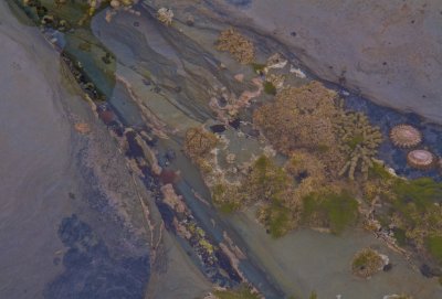 Rock pools