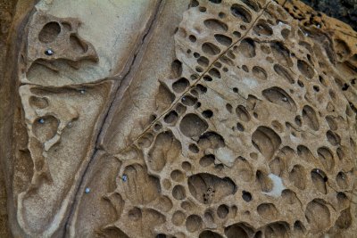 Pitted sandstone