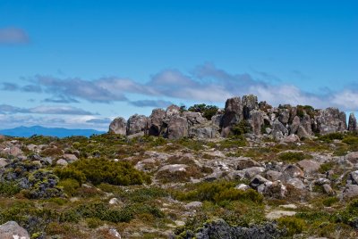 Looking across the plateau from the Mt Wellington pinnacle