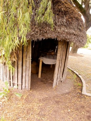 Traditional shelter