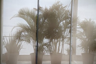g9/49/985549/3/155696204.7G5UEbrV.jpg