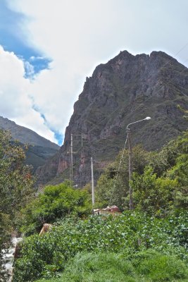 Beginning of train trip to Aguas Calientes.