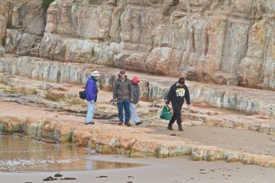 Calvert's Beach 3