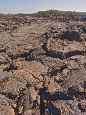 Galapagos Lava Walk