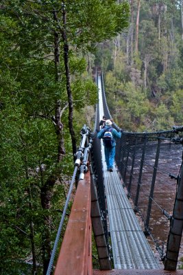 Swing bridge over the Picton River