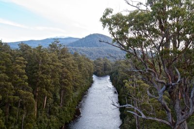 Confluence of Huon and Picton Rivers