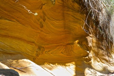 Sandstone caves by the track