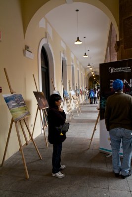 Inside the exhibition