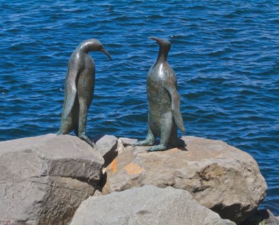Stephen Walker Bronze Penguins