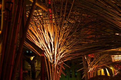 Bamboo Structure