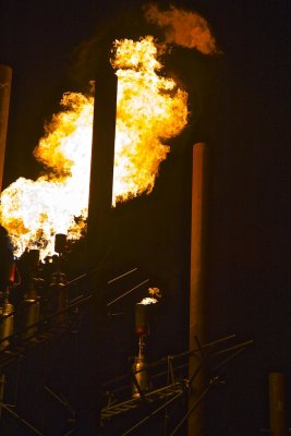 Flare from the Flame Organ