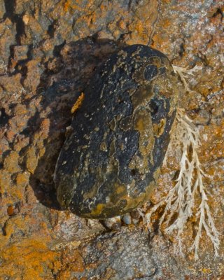 Rock embedded in rock