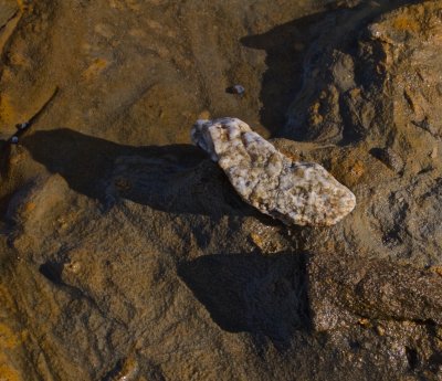 Quartzite embedded in sedimentary rock