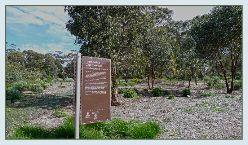 Signs in the Park