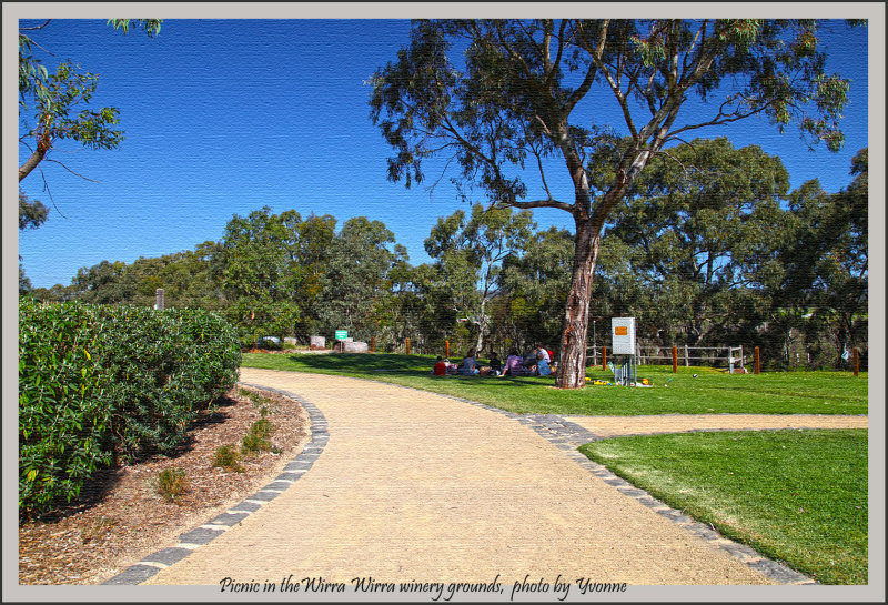 Picnic on the lawns