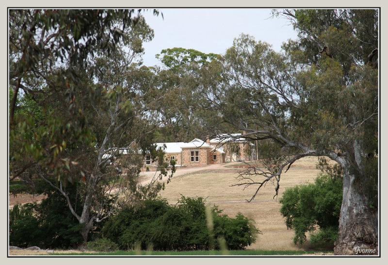 Clare Valley Landscape 