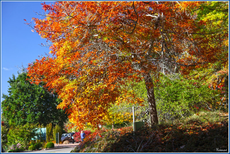 Splash of colour
