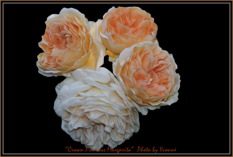 Crown Princess Margareta