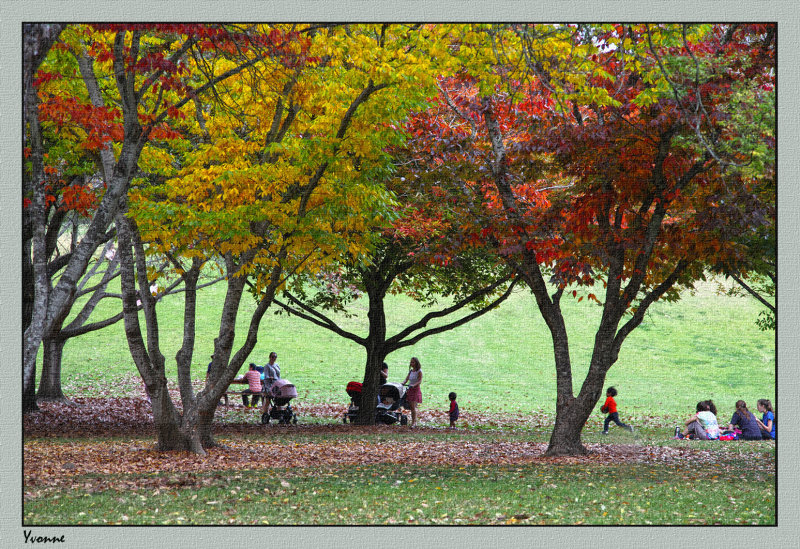 More picnickers under the trees