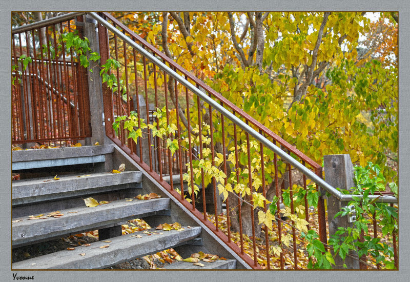 Coloured leaves and steps
