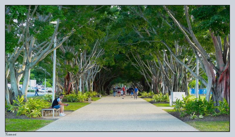 Walking the avenue