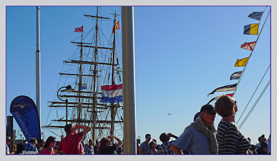 The sunshine and tall ships