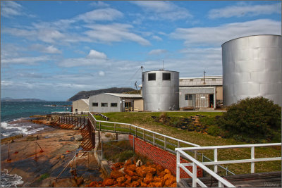 A view of the Whaling Station 