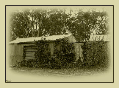 Old tin sheds