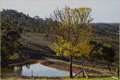 Water in the Skilly Hills