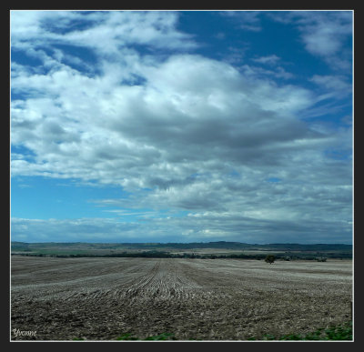   Touring through the Adelaide Hills  