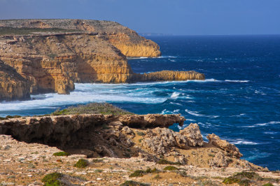 Rugged coastline