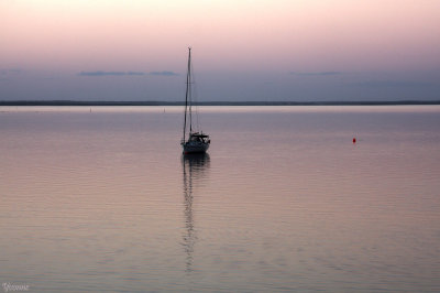 Late afternoon light