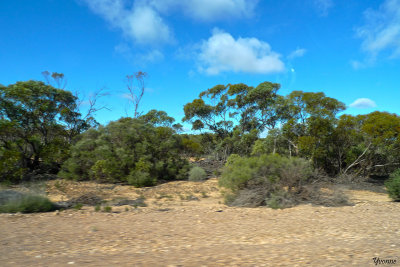 Outback in winter