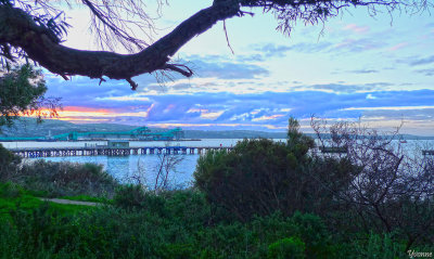 A walk to the shores