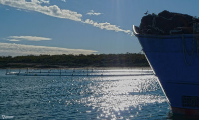 Sun on the sea