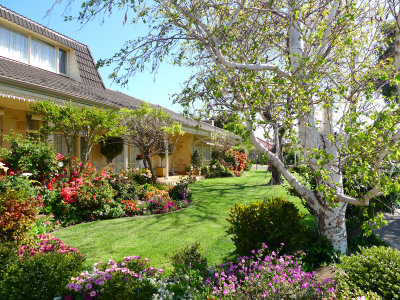 Jo's garden in early spring