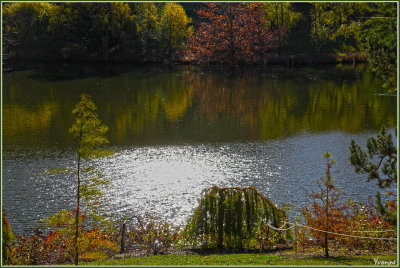 Lakeside view