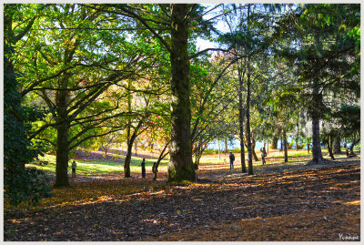 Shooting in the shade