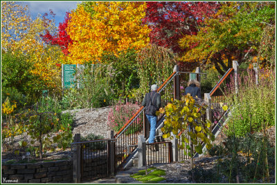 Strolling in the gardens