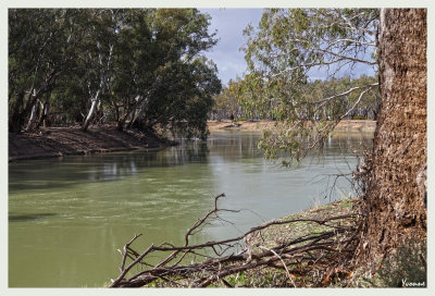 The River Murray