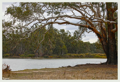 Wetlands 1