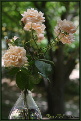 g9/49/99249/3/161896892.fWjs8FLw.jpg