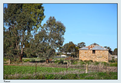 Old ruins in a paddock