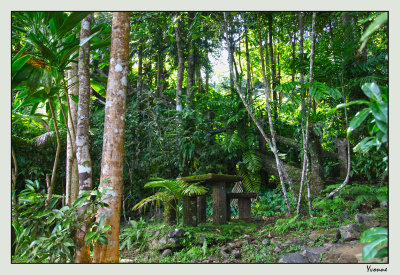 Seats & stairs in the greenery