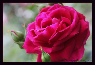 g9/49/99249/3/164493140.B0jsuKtT.jpg