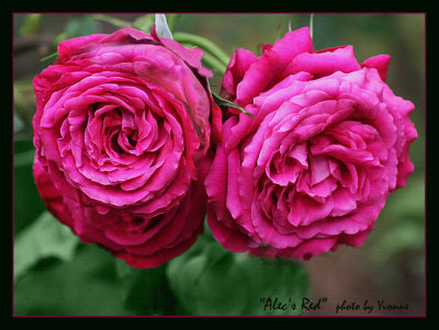 g9/49/99249/3/164667789.0ebcWrVM.jpg