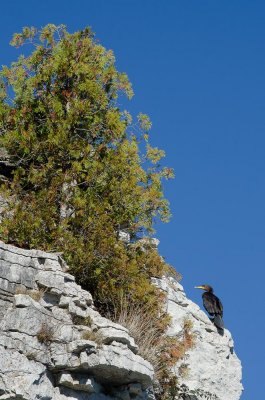 Flowerpot island