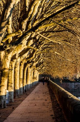 Les quais