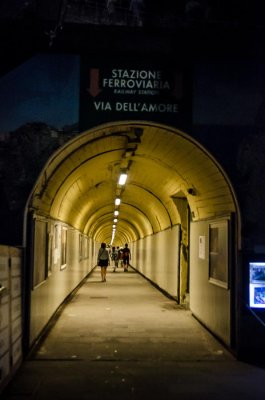 Manarola station