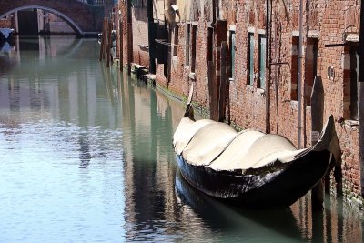 IMG_9985.JPG